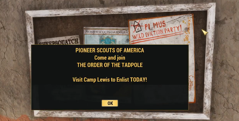 pioneer scouts